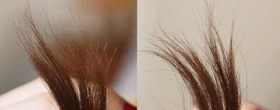 damaged ends of hair